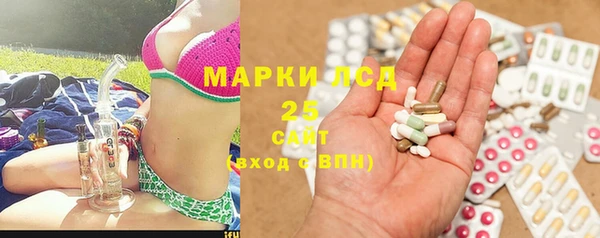 ПСИЛОЦИБИНОВЫЕ ГРИБЫ Аркадак