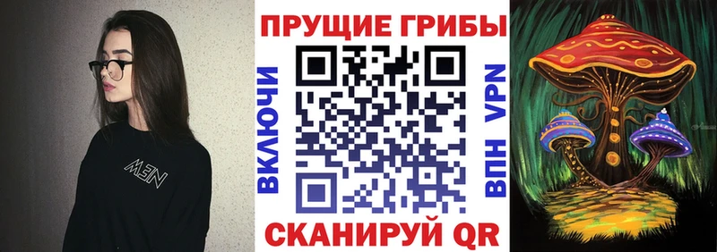 Галлюциногенные грибы Cubensis Спасск-Рязанский